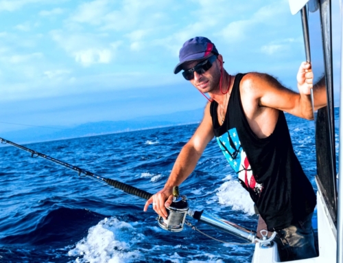 Shark Fishing Tournaments And More In Port Aransas